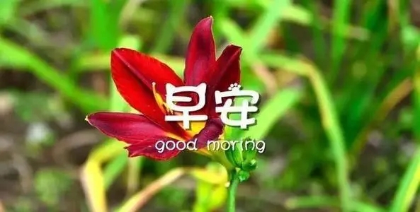 清晨早安说说文案心情短语