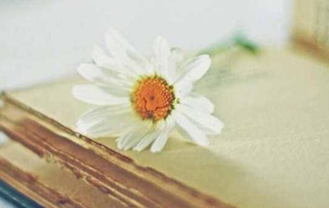 新的岗位新的开始语句文案