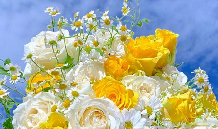 致自己的经典短句