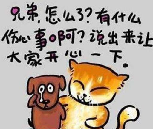 讲笑话大全爆笑