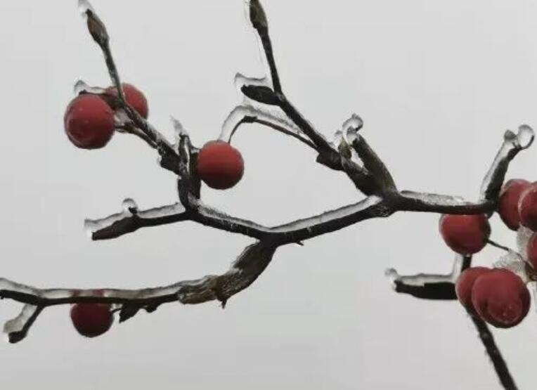 给朋友亲密早安的祝福语