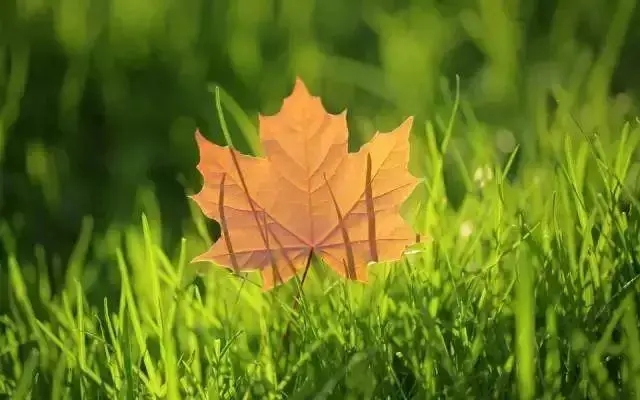 朋友圈说说文案心情短语