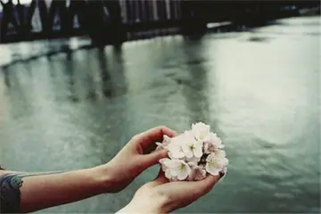 形容手段的句子文案