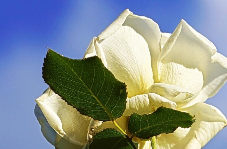 抖音发自己照片的正能量句子文案