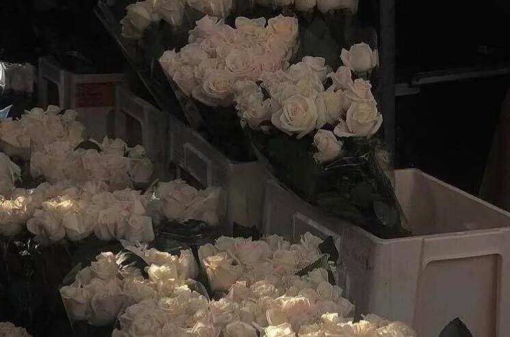 名著里的经典情话文案