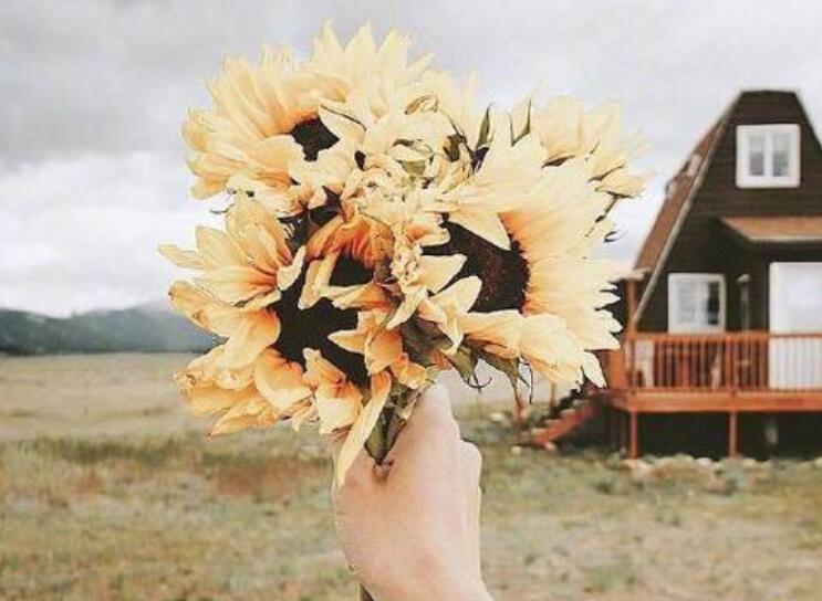 不再让自己受伤的句子文案