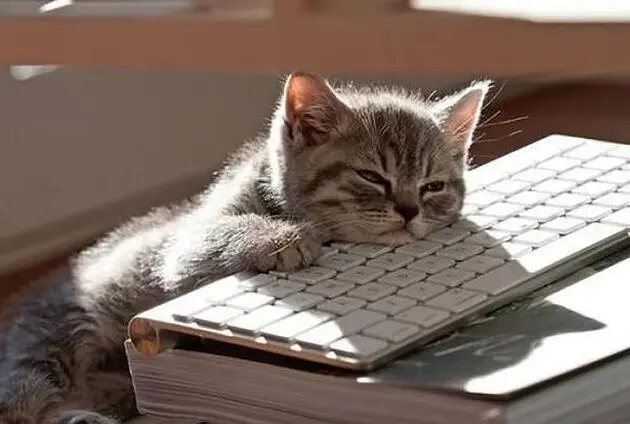 劳累一天很疲惫的说说文案