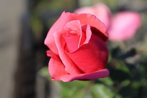 关于青春的英文文案短句