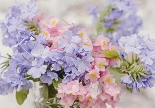 节日温馨祝福语