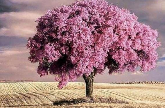 对人生感悟的经典短句