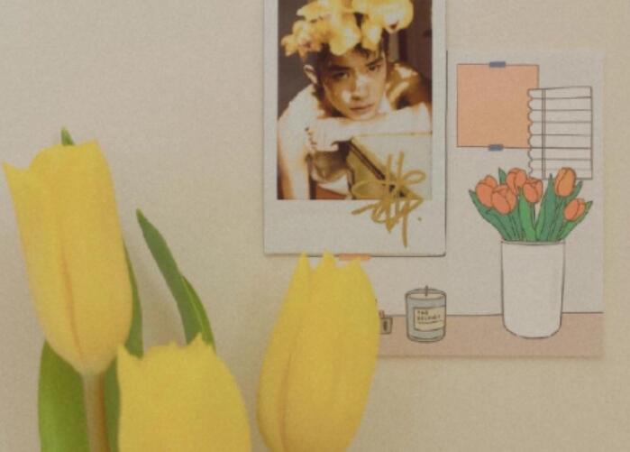 宽容善良的女人经典语录文案