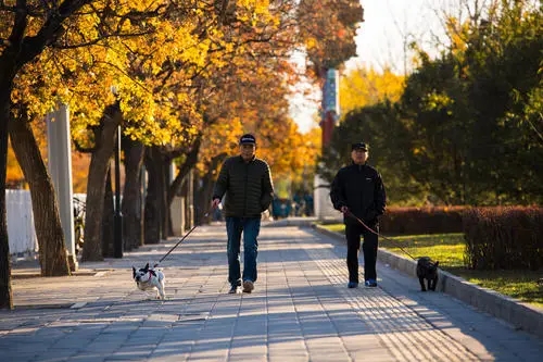 早晨散步的短句子文案
