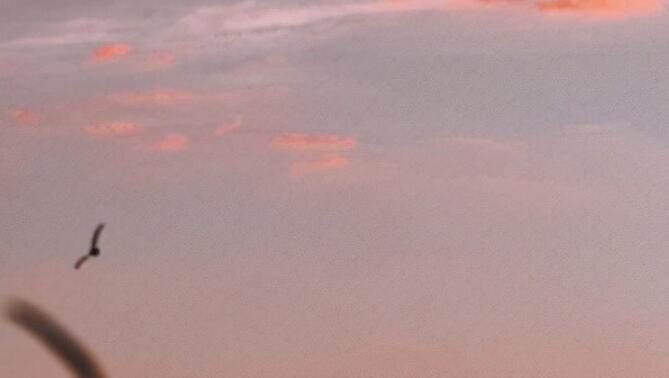 人的本性语句文案