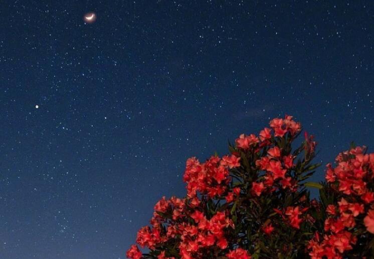 来生不做痴情人的短句