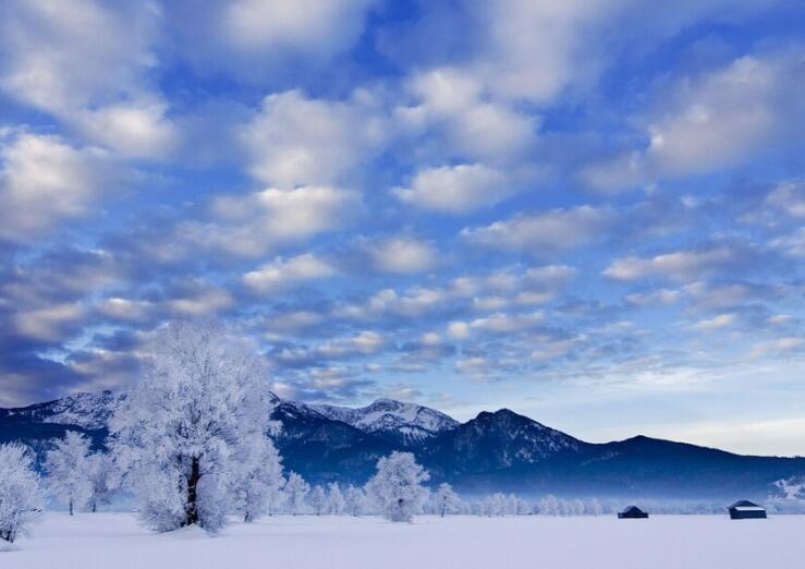 形容冷的句子文案
