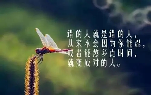 吃一堑长一智人生感悟