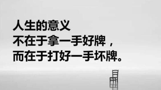 优美段落摘抄大全