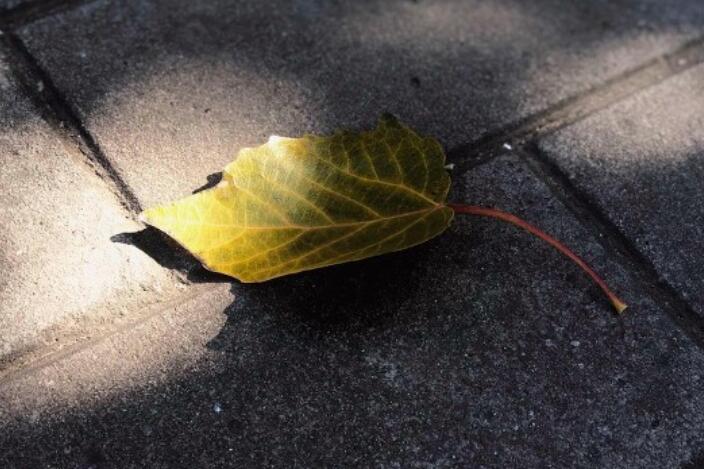 有哲理又扎心的句子文案