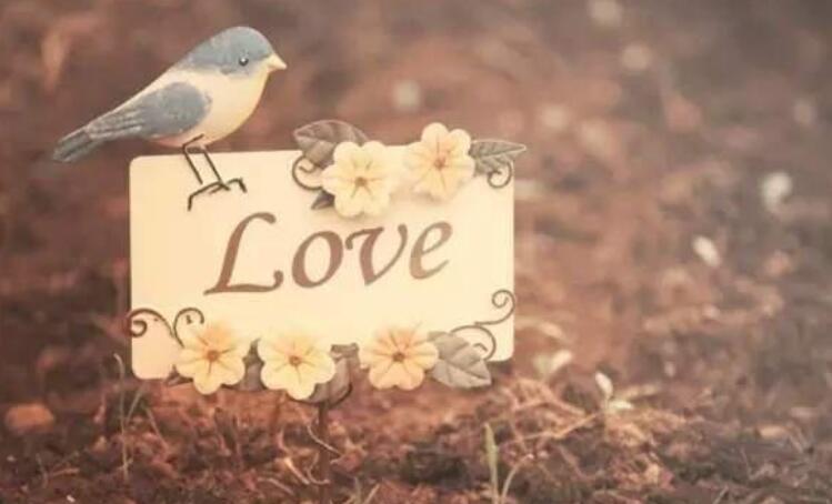 生活处处充满套路的句子文案