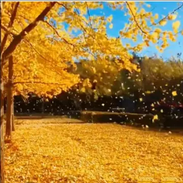 写秋天的句子文案短句