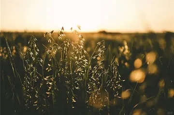 每天给自己加油的励志句子文案