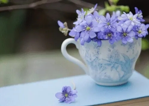 发朋友圈健康早安的句子文案