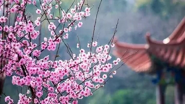 带有月份的诗句文案