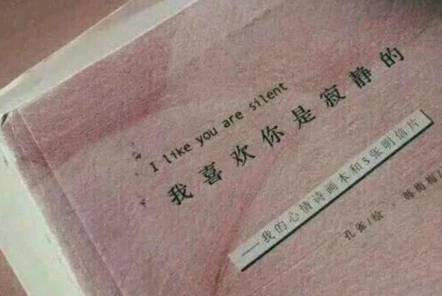 关于陪伴的经典语录文案