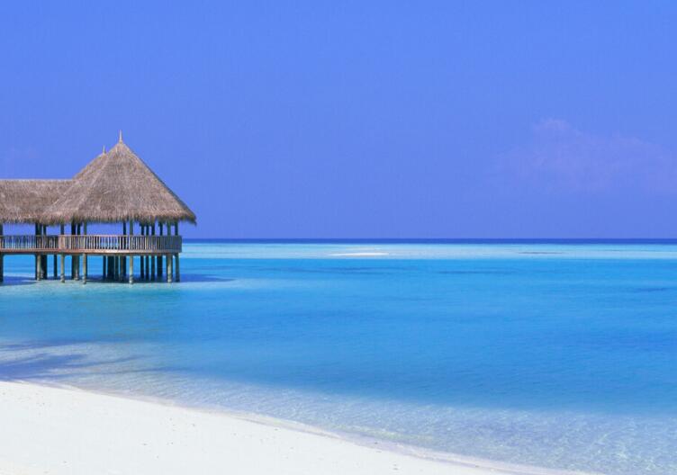 励志感言简短经典句子文案