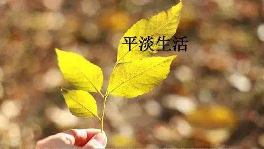 形容生活的句子文案