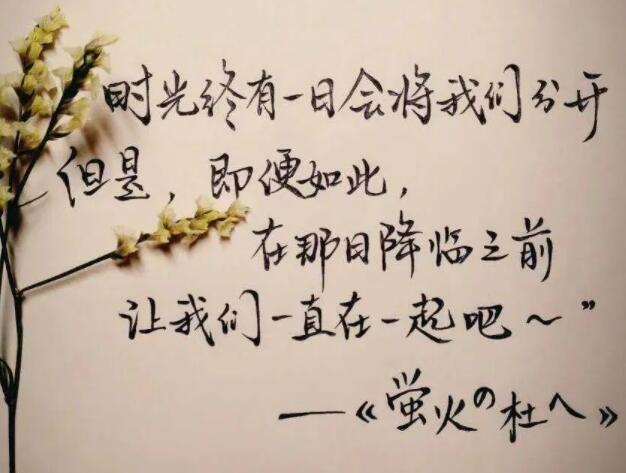 表达暖心的句子文案图片