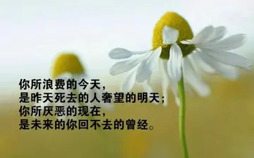 开心的早安短句