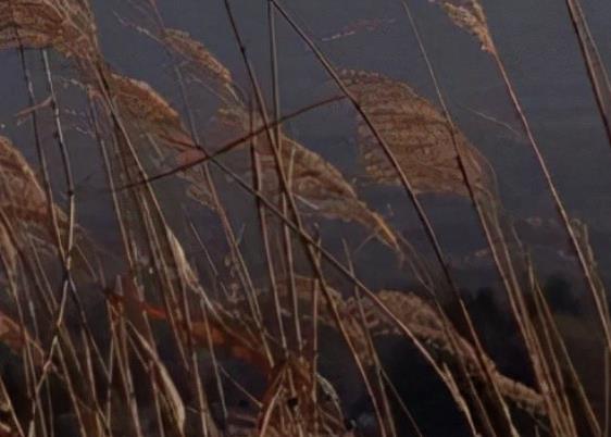 适合心情郁闷时发的朋友圈