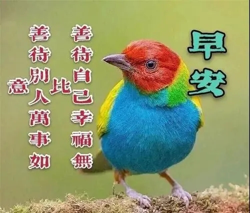 早安祝福语