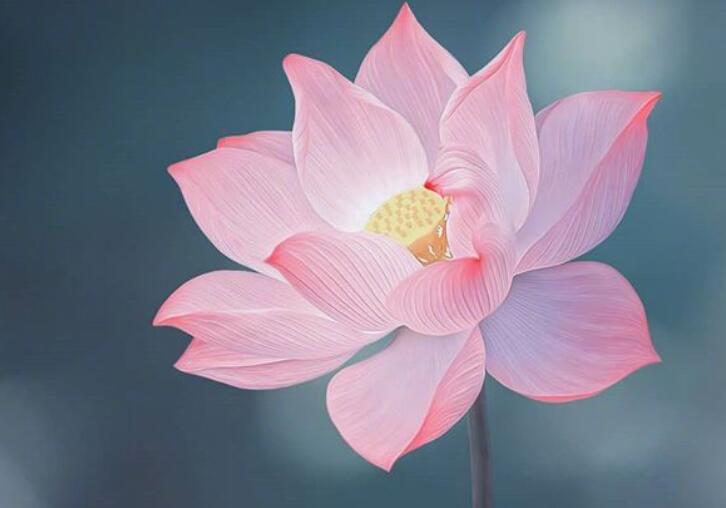 思想转变的句子文案