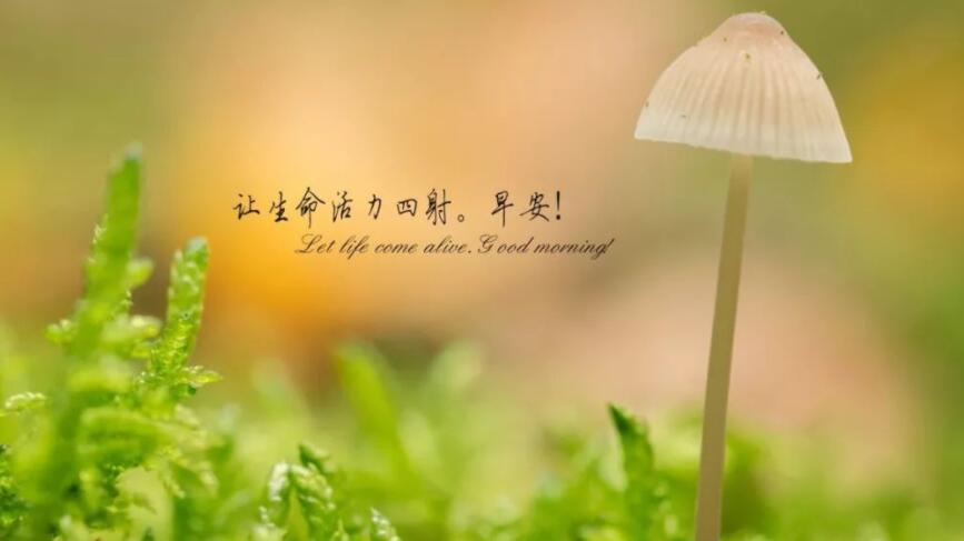 早上对一个人说早安的说说文案