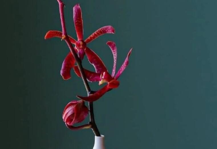 10字经典语录文案短句