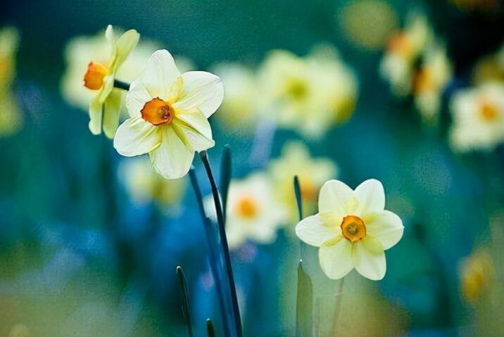 唯美句子文案加出处