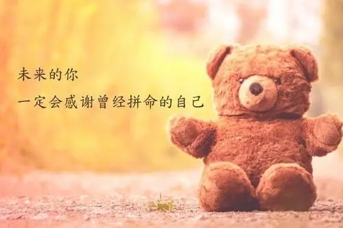 关于坚持的正能量句子文案