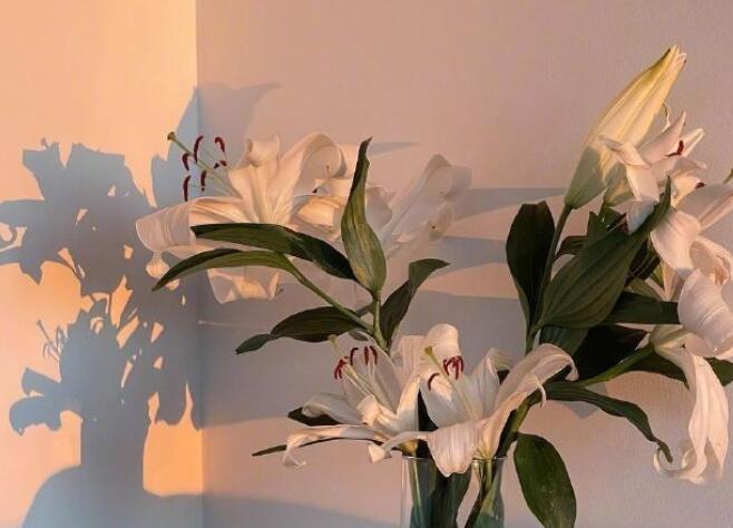 抖音很火的短句