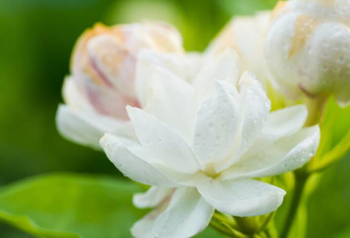 实在人说实在话的句子文案