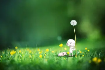 祝你生活愉快的句子文案