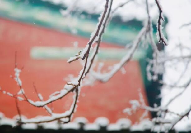 描写冬天美景的古诗