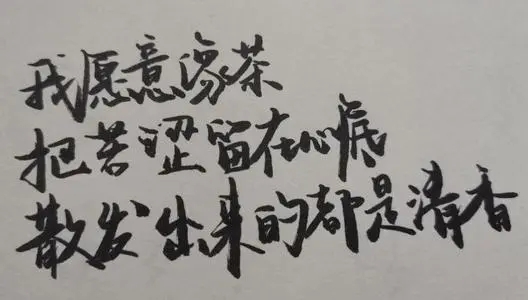 我愿意的唯美句子文案