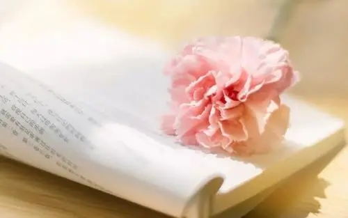 蛋糕早安暖心话短句