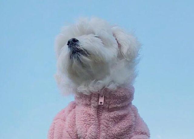 早安要努力的句子文案