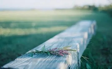 自强不息的文案