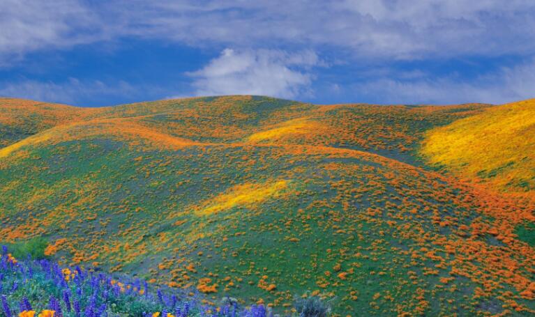 关于感情的经典语录文案