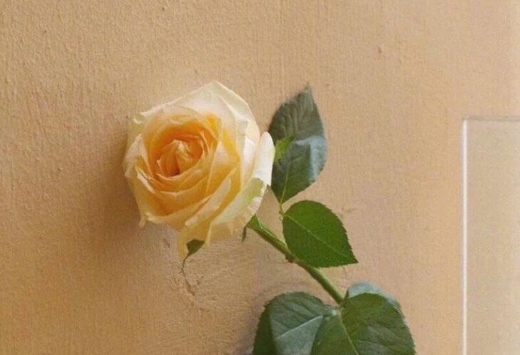 干净简短的励志句子文案