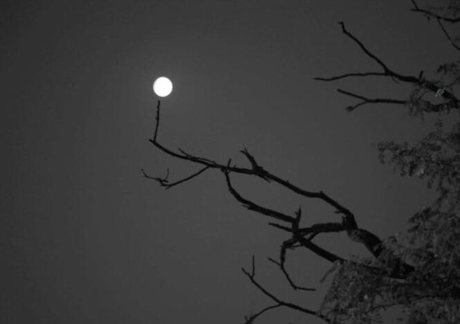 世间百态人情冷暖句子文案